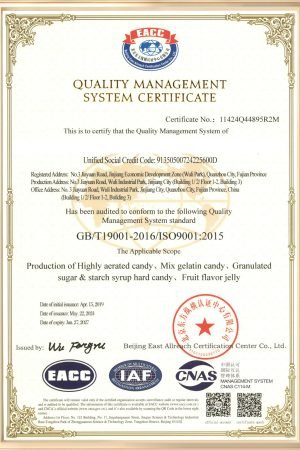 ISO 9001